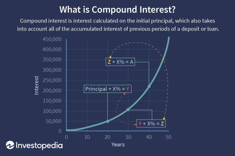 The power of compound interest in exponential wealth accumulation